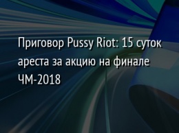 Приговор Pussy Riot: 15 суток ареста за акцию на финале ЧМ-2018