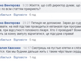 В Николаевском центре защиты животных усыпили 150 собак и щенков, пока ветеринар был в отпуске