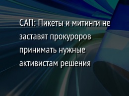 САП: Пикеты и митинги не заставят прокуроров принимать нужные активистам решения