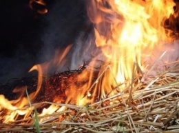 В Запорожской области горело восемь тонн соломы