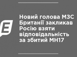 Новый глава МИД Британии призвал Россию взять ответственность за сбитый МН17
