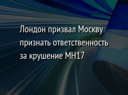 Лондон призвал Москву признать ответственность за крушение MH17