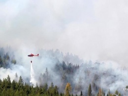 Швеция просит ЕС помочь с тушением лесных пожаров