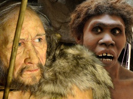 Человек выживший: как наши предки победили неандертальцев