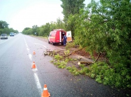За прошедшие сутки спасатели Николаевщины дважды убирали поваленные непогодой дерева