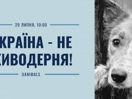 Зоозащитники Одессы вышли на митинг-акцию «Украина - не живодерня»