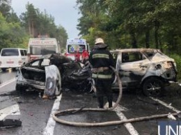Сгорели заживо: под Киевом три человека погибли в ДТП