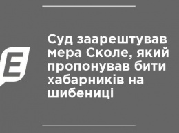 Суд арестовал мэра Сколе, который предлагал бить взяточников на виселице