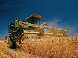 В Одесской области собирают неплохой урожай
