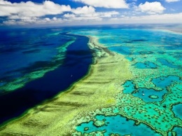 В Австралии будут стрелять солью в небо для спасения Большого Барьерного рифа