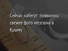 Сейчас набегут: появилось свежее фото несезона в Крыму