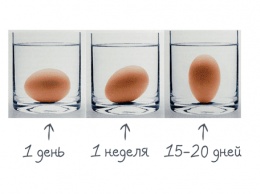 Свежие ли яйца, как проверить