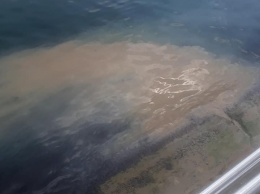 Одесский дельфинарий «Немо» сливает в море нечистоты (видео)
