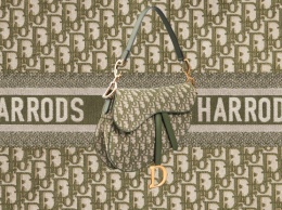 Модный протест: лимитированная коллекция Dior для Harrods