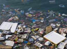 Ученые сообщили о вреде наночастиц в составе пластика для Мирового океана