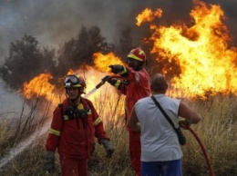 Маштабные лесные пожары в Греции привели к гибели 20 человек
