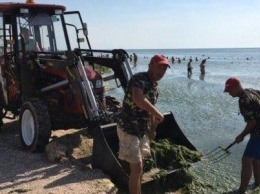 В Бердянском заливе Азовское море чистое и благоприятное для купания