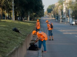 Около 300 коммунальщиков и более 30 единиц техники ежедневно убирают улицы и проспекты Днепра