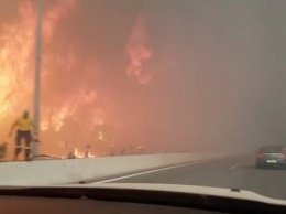 Появились видео и фото смертоносных пожаров в Греции. Люди спасаются от огня в море