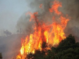 Смертельные пожары в Греции: опубликованы шокирующие видео