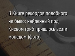 В Книге рекордов подобного не было: найденный под Киевом гриб пришлось везти мопедом (фото)