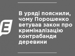 В правительстве объяснили, почему Порошенко ветировал закон о криминализации контрабанды древесины