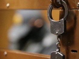 В Москве задержали украинского проводника