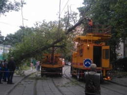 Поваленные деревья, билборды и затопленные подземные переходы: в Киеве ликвидируют последствия ливня (ФОТО, ВИДЕО)