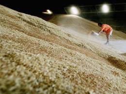 Зерновозы для «Кернел». Как миллиарды господдержки аграриев оказываются у миллиардеров