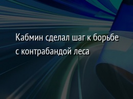 Кабмин сделал шаг к борьбе с контрабандой леса