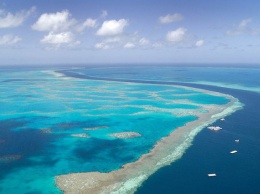 Ученые рассказали о состоянии Большого Барьерного рифа после обесцвечивания кораллов