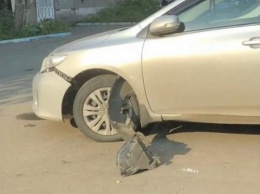 «Собаки-механики» разобрали иномарку в Красноярске