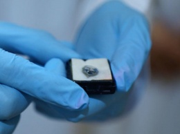 На Шри-Ланке найден голубой алмаз переправленный вором из ОАЭ в коробке с обувью