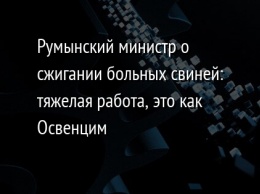 Румынский министр о сжигании больных свиней: тяжелая работа, это как Освенцим