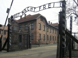 Румынский министр: Свиней сжигают на фермах, как евреев в Освенциме