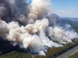 К Берлину приближается крупный лесной пожар