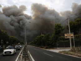 Лесной пожар в Греции забрала жизни уже 81 человека