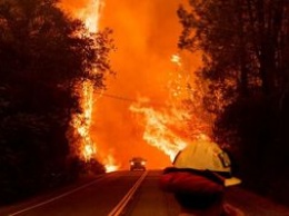 При тушении лесного пожара в Северной Каролине погиб человек, еще трое получили травмы