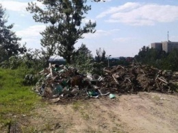 Во львовском парке устроили свалку и нанесли ущерб экологии на 110,7 млн грн