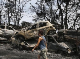 Премьер-министр Греции взял на себя вину за лесные пожары