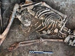 Международная группа археологов обнаружила в Украине уникальный скелет