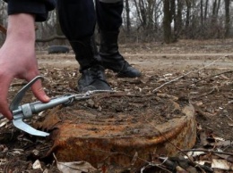 В оккупированном Донбассе подростки подорвались на установленной на кладбище мине