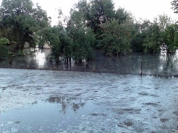 В Пологах за час выпала месячная норма осадков, затопило больше 60 домов (ФОТО)