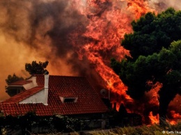 В результате масштабных пожаров в Греции погибло уже как минимум 88 человек