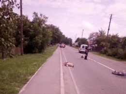 Под Львовом пьяный депутат от "Свободы" врезался в автобус и насмерть сбил велосипедистку