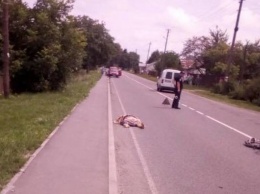 На Львовщине пьяный депутат въехал в автобус, а затем сбил насмерть женщину