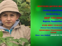 Мошенники похитили почти $5 тысяч на лечение больного мальчика из Закарпатья