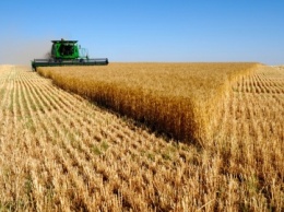 На Днепропетровщине собрали 2 млн. тонн зерновых: уборочная продолжается