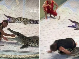 Дрессировщик в Таиланде засунул руку в пасть крокодила - но тот решил сорвать шоу