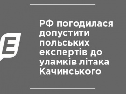 РФ согласилась допустить польских экспертов к обломкам самолета Качиньского